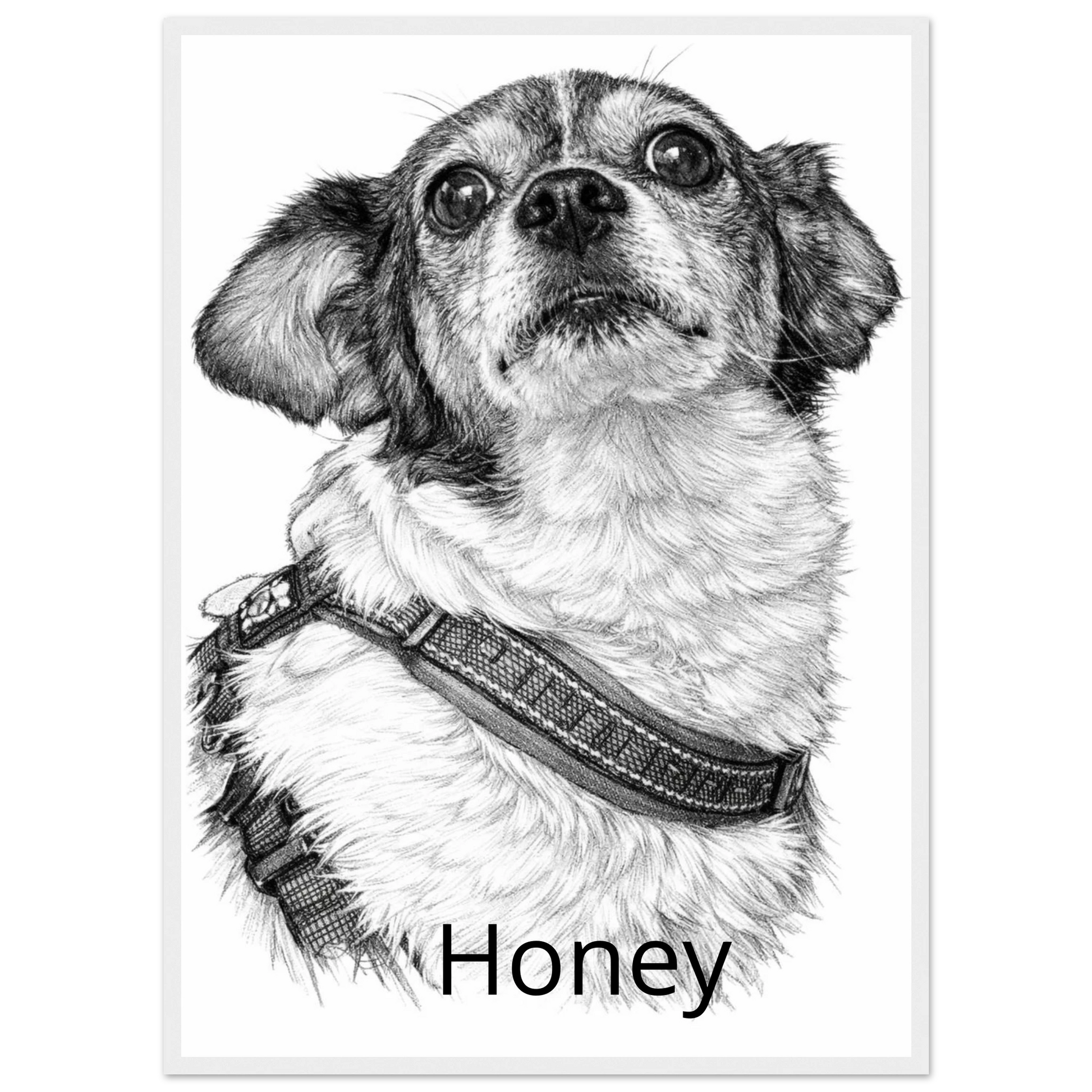 d56741f8-a01c-4add-a207-00a149525f38